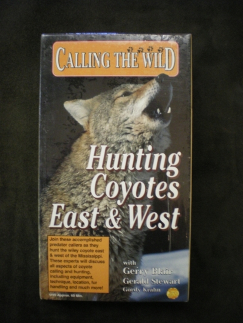 Hunting Coyotes East & West #525