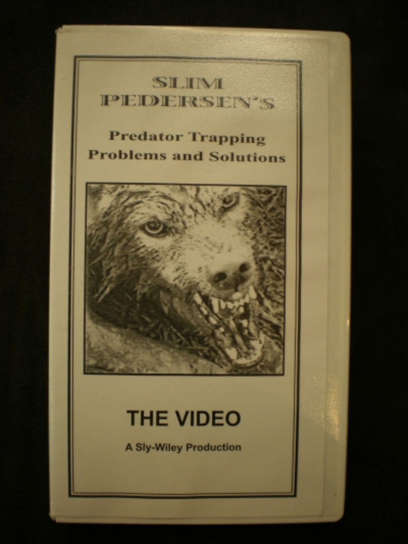 Slim Pedersen's Predator Trapping Problems and Solutions #656